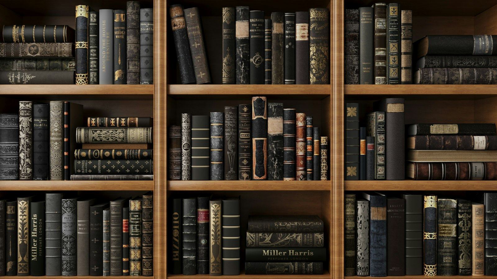 Shelves full of books